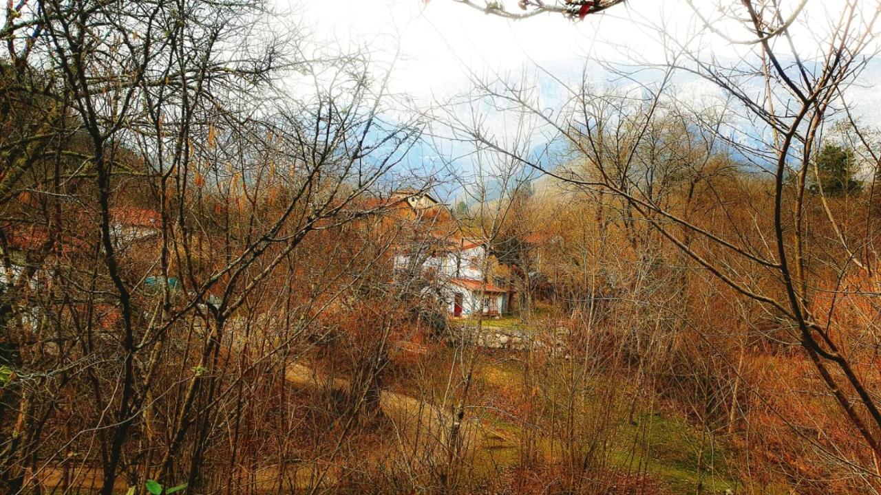 Hotel Rural La Tahona De Besnes Arenas De Cabrales Eksteriør billede
